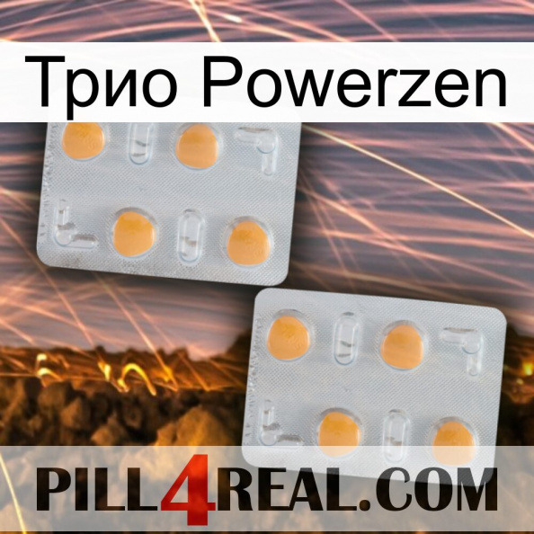 Трио Powerzen 25.jpg